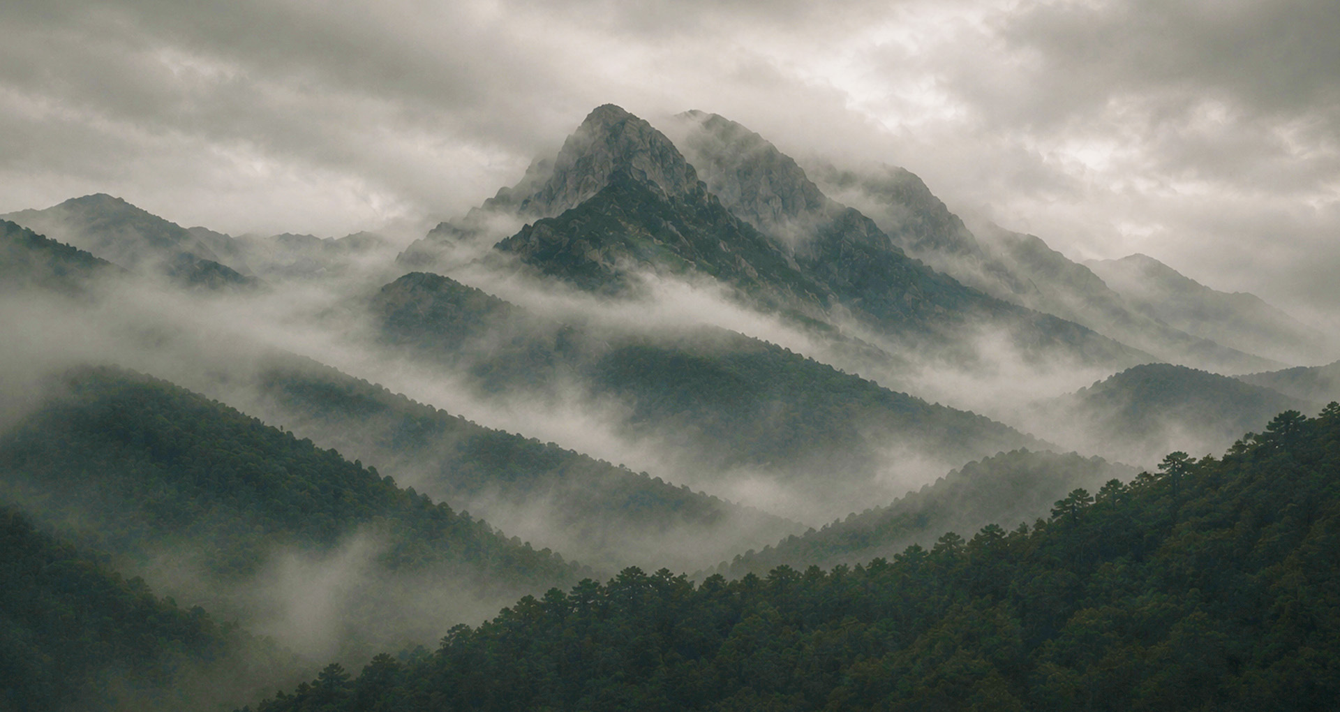Wellness and the outdoors - engineered for life